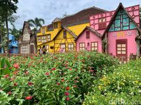 Baru Di Jember Tempat Wisata Mirip Negeri Belanda Baru Di Jember Tempat Wisata Mirip Negeri Belanda