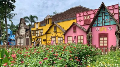 Foto: Bukan di Belanda, Ini di Jember