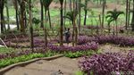 Foto: Taman yang Instagramable di Banjar