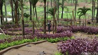 Suasana taman yang asri. Cocok untuk liburan awal tahun (Dadang Hermansyah/detikTravel)