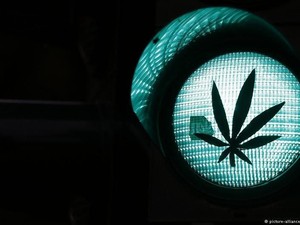 Thailand Legalkan Mariyuana Buat Keperluan Medis