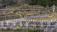 Pada awalnya taman itu berisikan patung-patung Budha hingga kemudian Matsuo menambahkan sejumlah patung para penduduk desa yang secara perlahan mulai meninggalkan desa tersebut.