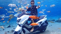 Sebagaimana dilihat dari website-nya, Daily Mail menyebut Umbul Ponggok sedemikian populer di Instagram. Kolam berukuran 70x40 meter di sana pun begitu jernih dengan ikan warna-warni berenang di dalamnya. (Bayu Ardi Isnanto/detikcom)