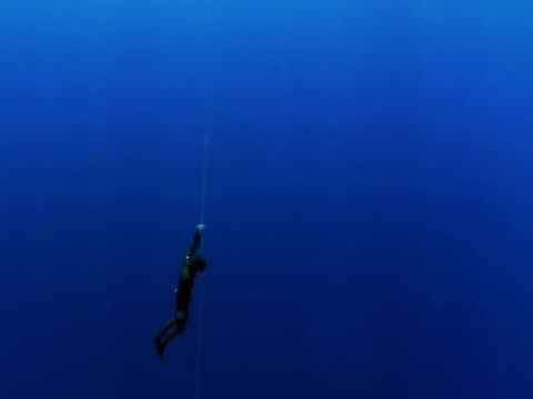 Free diving di bahari lepas
