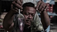 Saat ini pelarangan penggunaan plastik juga sudah mulai dilakukan kota-kota besar lain di Indonesia.