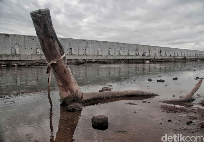 Ibu kota Jakarta membutuhkan giant sea wall atau tanggul laut raksasa untuk mencegah terjadinya banjir rob.