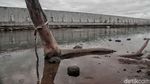 Cegah Banjir Rob, Jakarta Butuh Tanggul Laut Raksasa