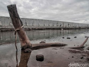 Mengenal Giant Sea Wall yang Dikritik Cak Imin Gagal Atasi Masalah