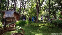 Ada juga rumah pohon yang bisa dipakai untuk menikmati keindahan taman anggrek dari ketinggian, dan beberapa saung untuk makan-makan (Dadang Hermansyah/detikTravel)