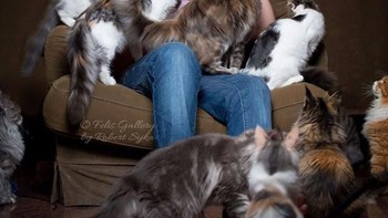 Robert bersama kucing-kucing kesayangannya. (Foto: Robert Sijka)