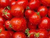 Semangka Termasuk Sayuran, Ini Fakta Unik Soal Buah dan Sayuran