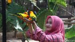 Foto: Asyiknya Libur Tahun Baruan di Maharani Zoo