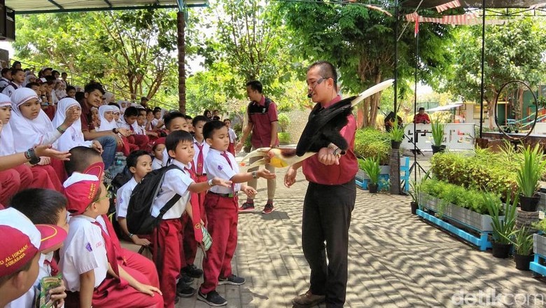 Atraksi Burung Di Maharani Zoo Lamongan Yang Bikin Gemas