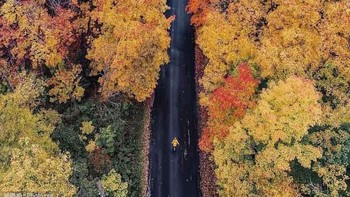Karya Kristina Makeeva, fotografer asal Moskow. Gamber ini diambil di Ontario, Kanada menggunakan Phantom 4. Foto: Dpriview