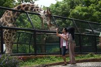 (Eko Sudjarwo/detikTravel)