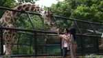 Foto: Asyiknya Libur Tahun Baruan di Maharani Zoo