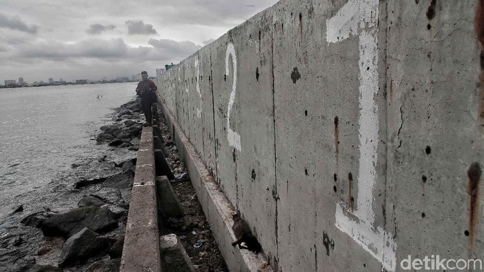 Ibu kota Jakarta membutuhkan giant sea wall atau tanggul laut raksasa untuk mencegah terjadinya banjir rob.