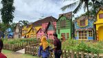Foto: Bukan di Belanda, Ini di Jember