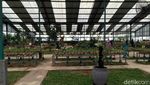 Foto: Tempat Wisata Murah Meriah di Mojokerto