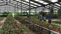 Harga tiketnya juga murah meriah. Hanya Rp 5 ribu per orang pada hari biasa dan Rp 7.500 pada akhir pekan. Sementara itu, ongkos parkirnya cuma Rp 5 ribu untuk mobil dan Rp 2 ribu untuk sepeda motor. (Enggran/detikTravel)