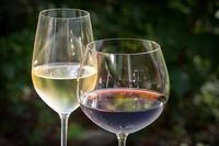 Konsumsi Sebotol Wine Tiap Minggu Bisa Tingkatkan Risiko Kanker Payudara 