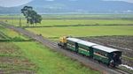 Yuk, Berkeliling Desa dengan Kereta Api Kuno Ambarawa