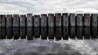 Menurut Staf Khusus Menteri Pekerjaan Umum dan Perumahan Rakyat Bidang Air dan Sumber Daya Air, Firdaus Ali mengakui, Ibu kota Jakarta membutuhkan giant sea wall atau tanggul laut raksasa untuk mencegah terjadinya banjir rob. 