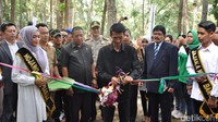 Wana Wisata Mustika Taman Anggrek secara resmi telah dibuka untuk umum pada Desember 2018 lalu (Dadang Hermansyah/detikTravel)