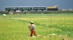 Yuk, Berkeliling Desa dengan Kereta Api Kuno Ambarawa