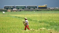 Harga tiketnya pun cukup ramah dikantong. Untuk dapat ikut serta dalam tur kereta api kuno ini para pengunjung diwajibkan membayar Rp 50 ribu per orangnya dan berlaku mulai dari anak-anak berusia 3 tahun ke atas.