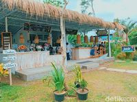 Baru Di Jember Tempat Wisata Mirip Negeri Belanda Baru Di Jember Tempat Wisata Mirip Negeri Belanda