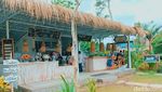 Foto: Bukan di Belanda, Ini di Jember