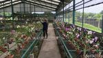 Foto: Tempat Wisata Murah Meriah di Mojokerto