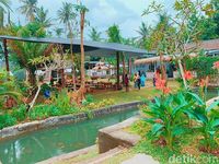 Baru Di Jember Tempat Wisata Mirip Negeri Belanda Baru Di Jember Tempat Wisata Mirip Negeri Belanda