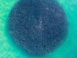 10 Foto Drone yang Kece dan Inspiratif 2018