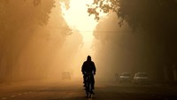 Begini penampakan polusi udara di New Delhi, India, Rabu (26/12/2018) waktu setempat. REUTERS/Adnan Abidi.