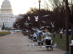 Fakta di Balik Tutupnya Pemerintahan Trump