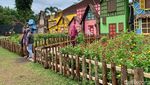 Foto: Bukan di Belanda, Ini di Jember