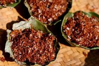 Hii..! Dokter Temukan Semut Pemangsa Makanan di Dalam Kuping Pria Ini