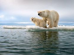 Deretan Foto Perjalanan Terbaik 2018