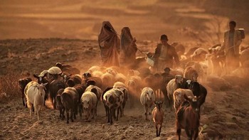 Sebuah foto karya Matjaz Krivic dari Slovenia. Istimewa/Dok. Boredpanda.