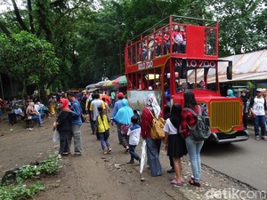 Libur Akhir Tahun, Solo Zoo Diserbu 7 Ribu Pengunjung Sehari