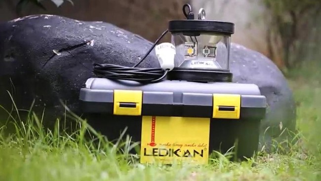 Pakai Lampu Ikan Buatan KKP, Nelayan Dapat Tangkapan 4 Kali Lipat
