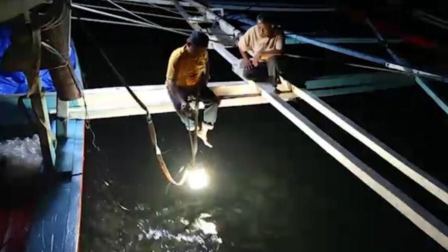 Pakai Lampu Ikan Buatan KKP, Nelayan Dapat Tangkapan 4 Kali Lipat