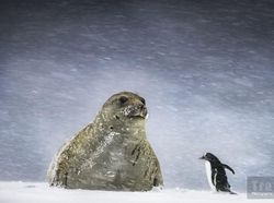 Deretan Foto Perjalanan Terbaik 2018