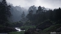 Menariknya, meski berada di hutan pinus, pagi hari wisatawan dapat melihat matahari yang terbit di antara bukit di atas sungai yang berada di sebalah objek wisata. (Uje Hartono/detikTravel)