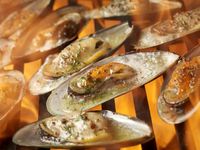 5 Tips Bikin BBQ Udang, Cumi, dan Kerang yang Empuk Juicy