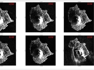 Gunung Anak Krakatau Longsor 64 Hektare, Begini Bentuknya Sekarang