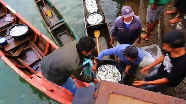Pakai Lampu Ikan Buatan KKP, Nelayan Dapat Tangkapan 4 Kali Lipat