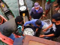 Pakai Lampu Ikan Buatan KKP, Nelayan Dapat Tangkapan 4 Kali Lipat